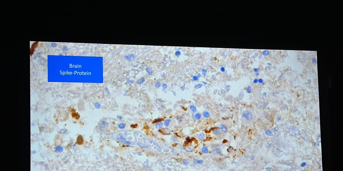 Patologiske funn i individer som avgikk ved døden etter de genetiske innsprøytningene.