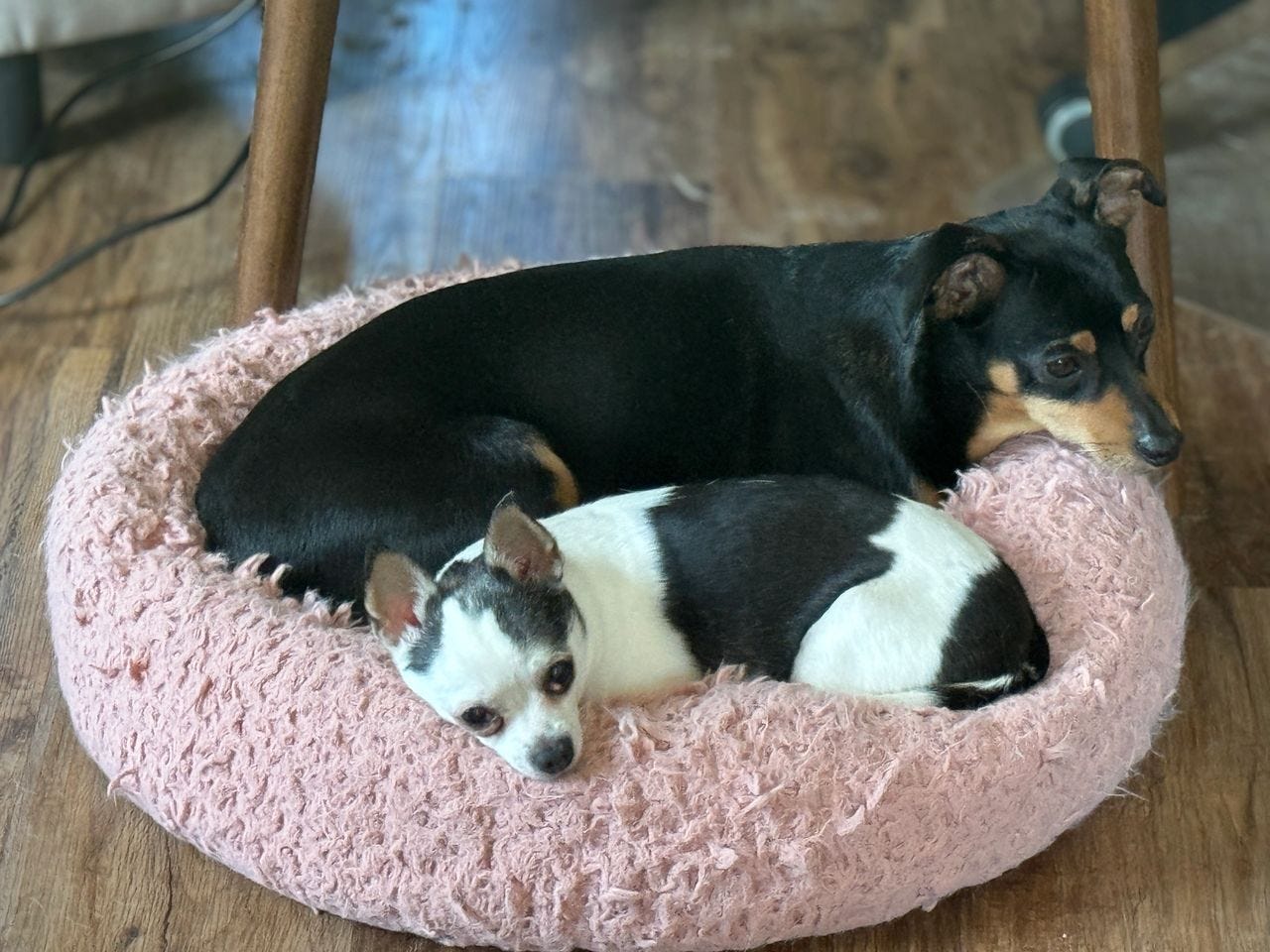 Cooper and Denny