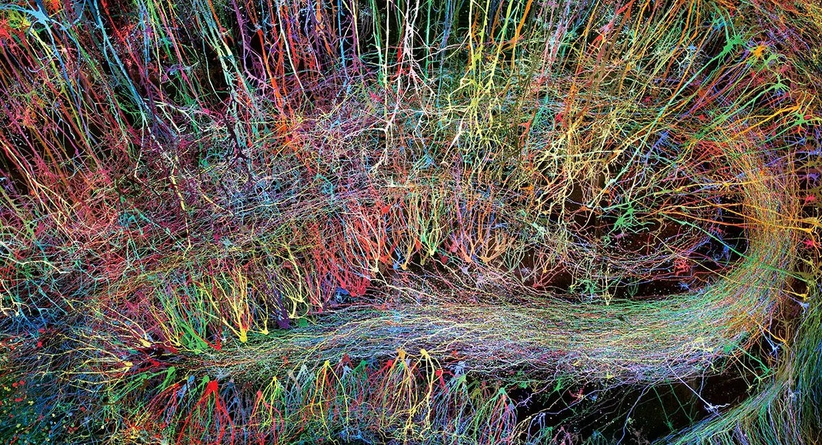 COMPLEXITY- PART 7
