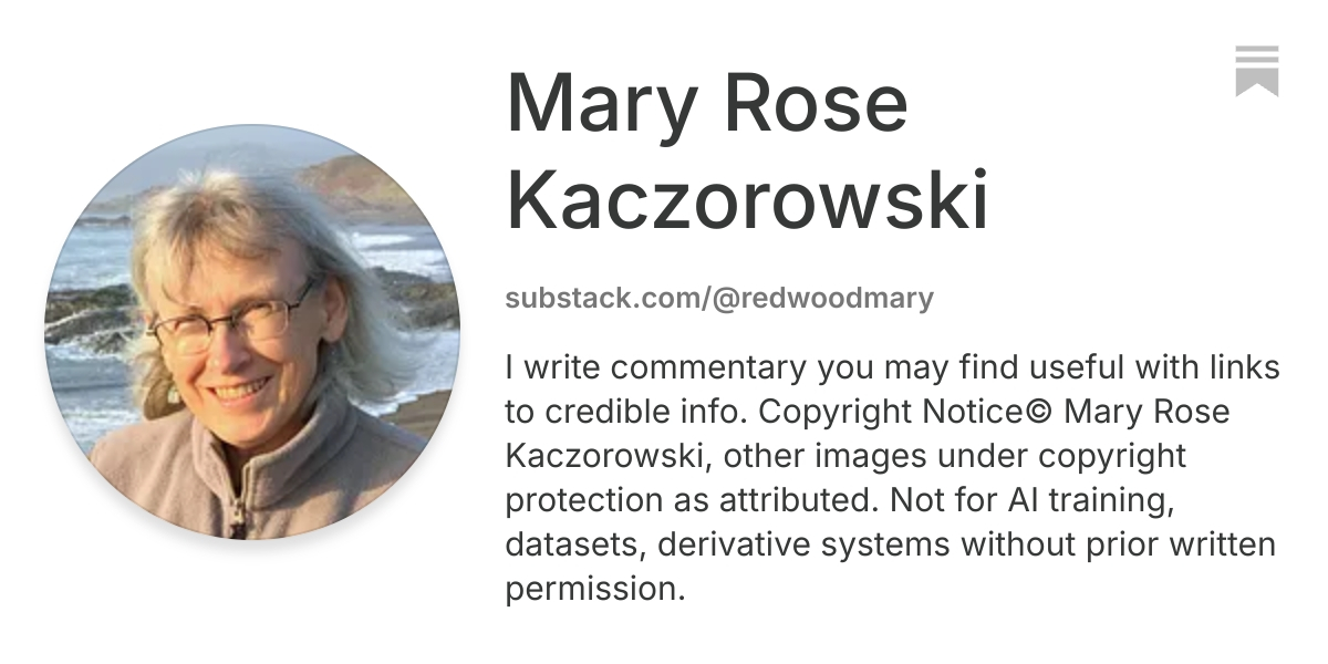Mary Rose Kaczorowski | Substack