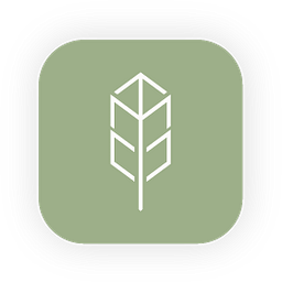 Native — source image