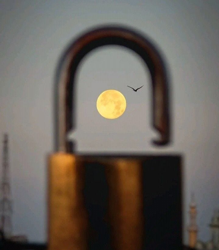 No photo description available. No photo description available.