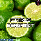 Supplement Spotlight #6: Citrus Bergamot