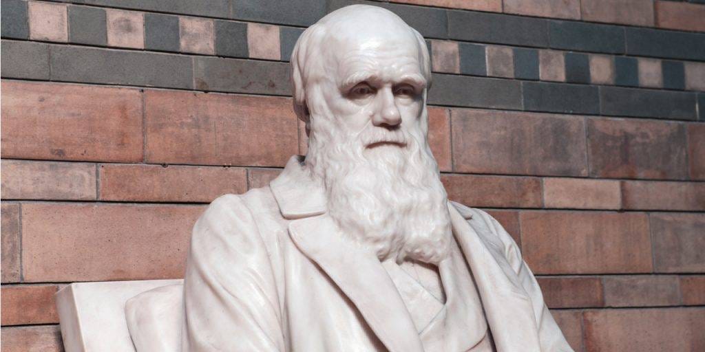 Charles Darwin (red tinted background) Charles Darwin (red tinted background)