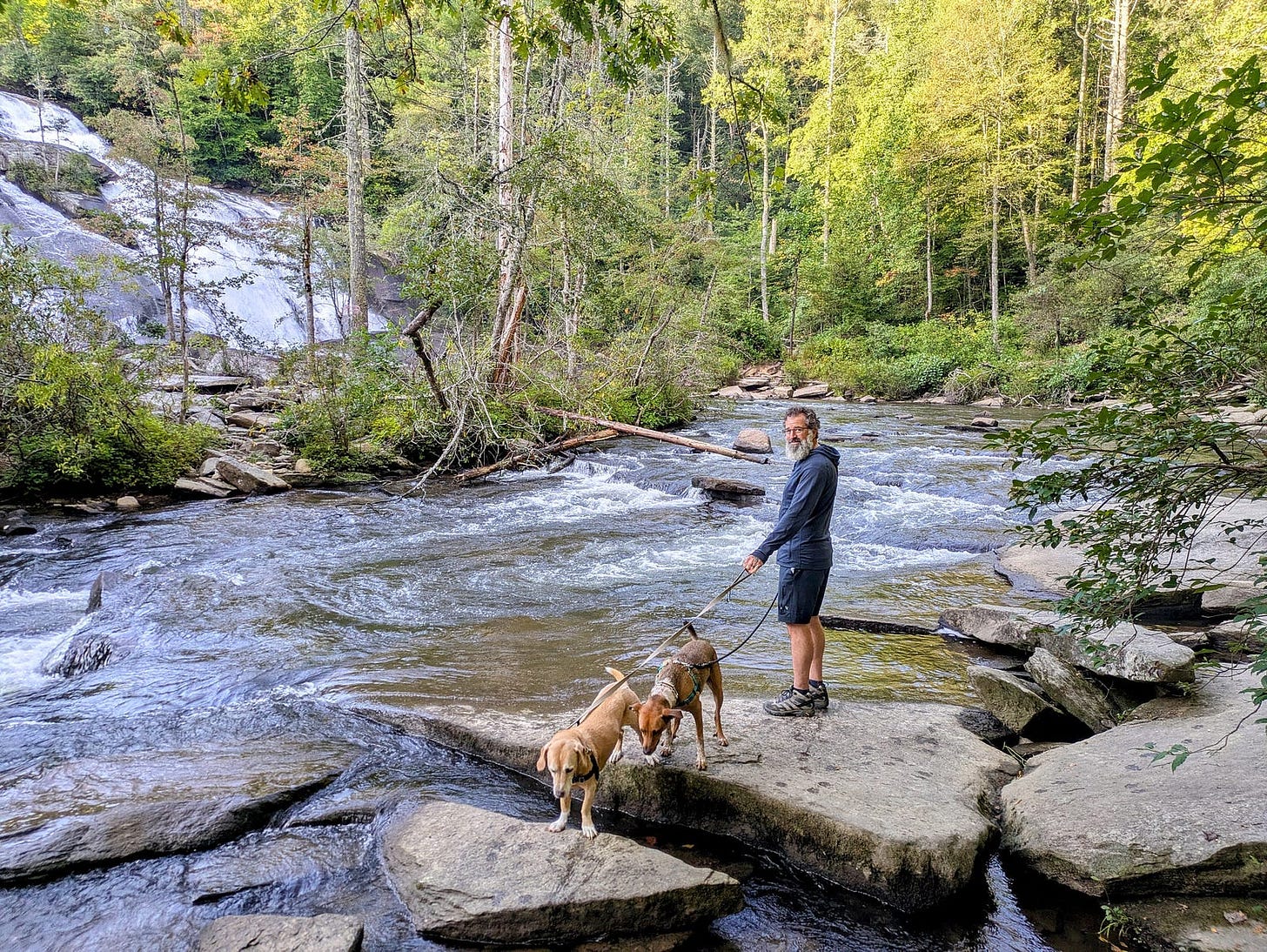 The author stands on a large rock beside a rushing river in DuPont State Forest, holding leashes for two dogs — Gus and Frank — who explore the water’s edge. In the background, a cascading waterfall cuts through dense forest, with sunlight filtering through tall green trees. The peaceful, wild scene captures a moment of connection with nature and companionship. The author stands on a large rock beside a rushing river in DuPont State Forest, holding leashes for two dogs — Gus and Frank — who explore the water’s edge. In the background, a cascading waterfall cuts through dense forest, with sunlight filtering through tall green trees. The peaceful, wild scene captures a moment of connection with nature and companionship.