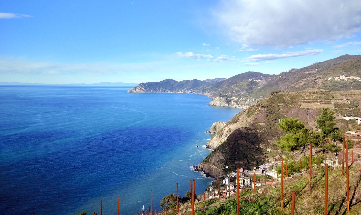 The vineyard of Riomaggiore in Cinque Terre..