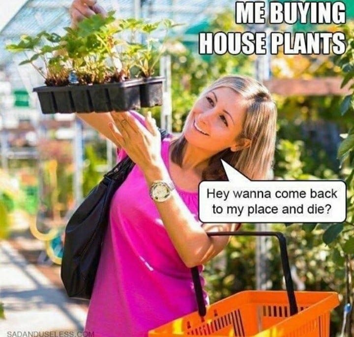 60 Plant Memes For You To Dig Through - Funny Gallery