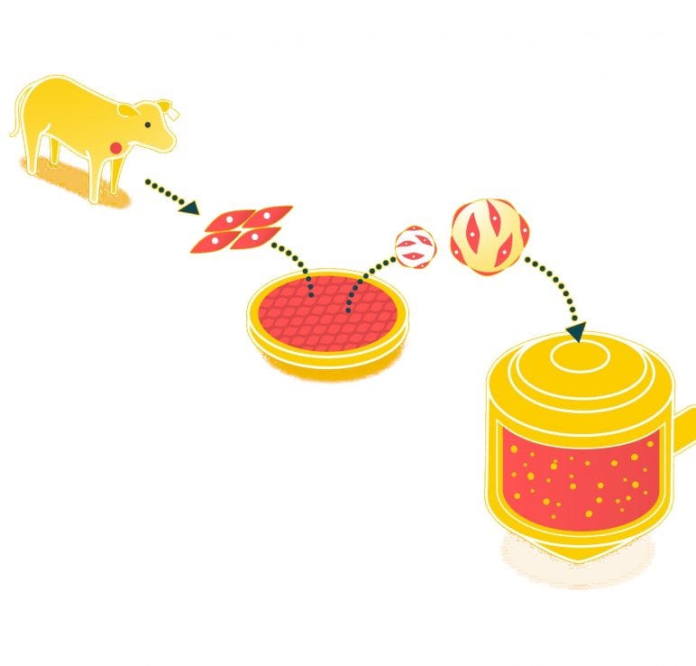 Course Materials – The Cellular Agriculture Course Course Materials – The Cellular Agriculture Course