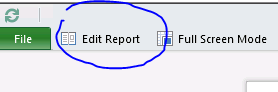 Power View Edit report button Power View Edit report button