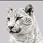 hadjer's avatar