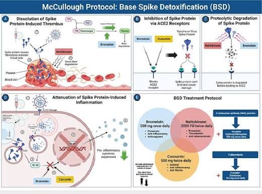 McCullough Protocol: Base Spike Detoxification (BSD). A: Dissolution of... | Download Scientific Diagram McCullough Protocol: Base Spike Detoxification (BSD). A: Dissolution of... | Download Scientific Diagram