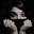 Avatar de Crïs November