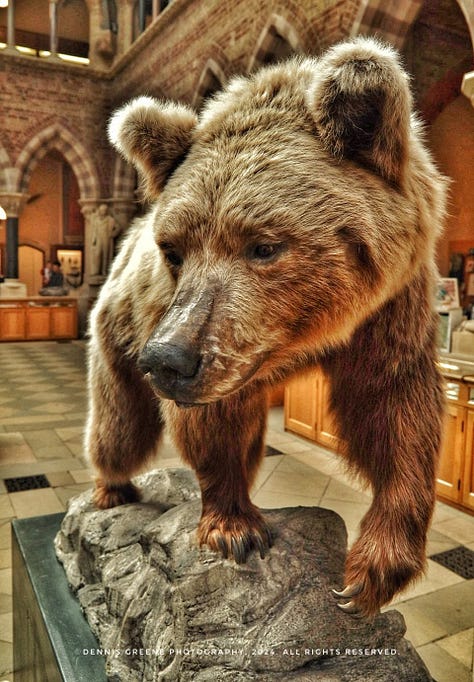 Oxford's Natural History Museum - stunning location and amazing exhibits