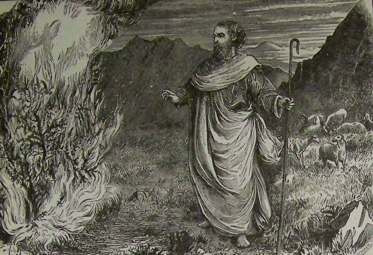 File:Holman Moses and the Burning Bush.jpg - Wikimedia Commons