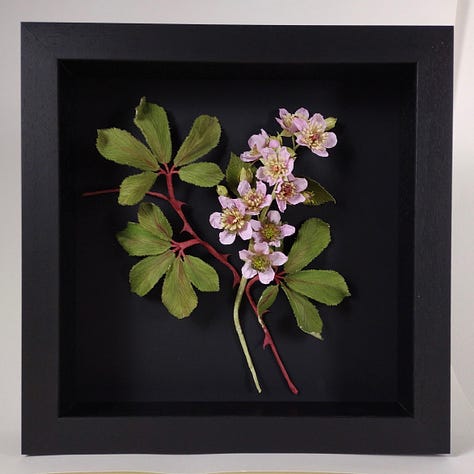 Three images of my framed artworks depicting pink bramble flowers with red stems and green leave; bright yellow gorse flowers with vivid blue-green spikes and the pinky purple flowers of common heather, enlarged to show the detail within, a double ring of stamen, white and rust coloured. All pictured against a black background