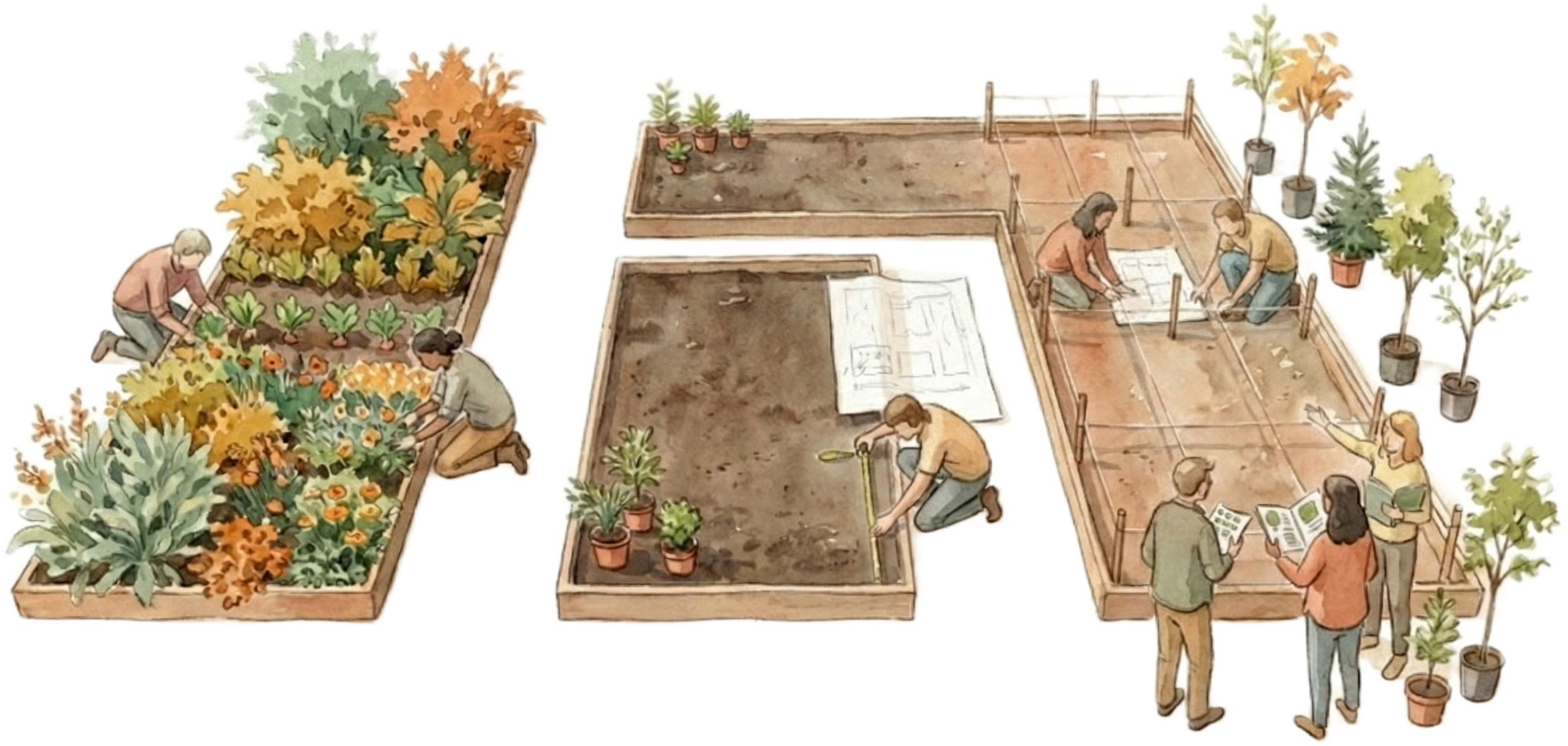 Alt Text: A watercolor-style isometric illustration of a community garden scene featuring three raised wooden planter beds in different stages of development. On the left, a lush bed is overflowing with greenery and orange flowers, tended by two gardeners. In the center, a person kneels to measure a bed of bare soil. On the right, a group of four people gathers around a large L-shaped bed marked with string grids; they are reviewing a large blueprint plan together, suggesting a phase of strategic design
