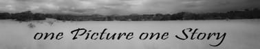 one Picture one Story 