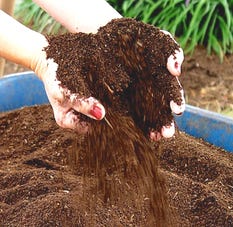 compost