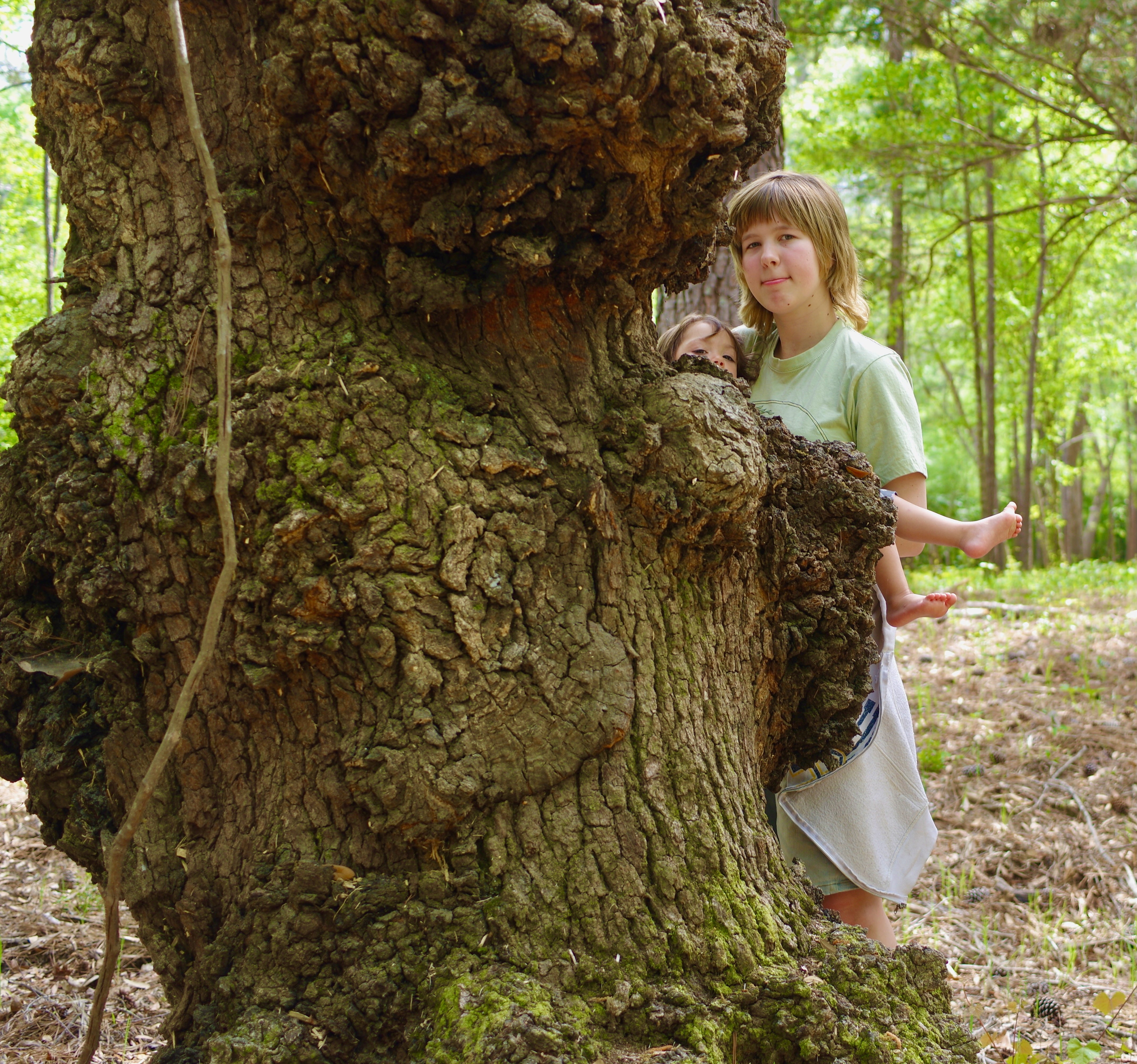 A Girl, a Baby, and an Old, Old Tree