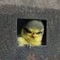 Jess's avatar