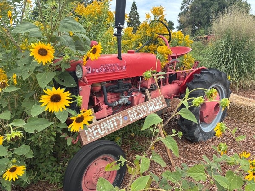A red tractor surrounded by yellow flowers

AI-generated content may be incorrect.