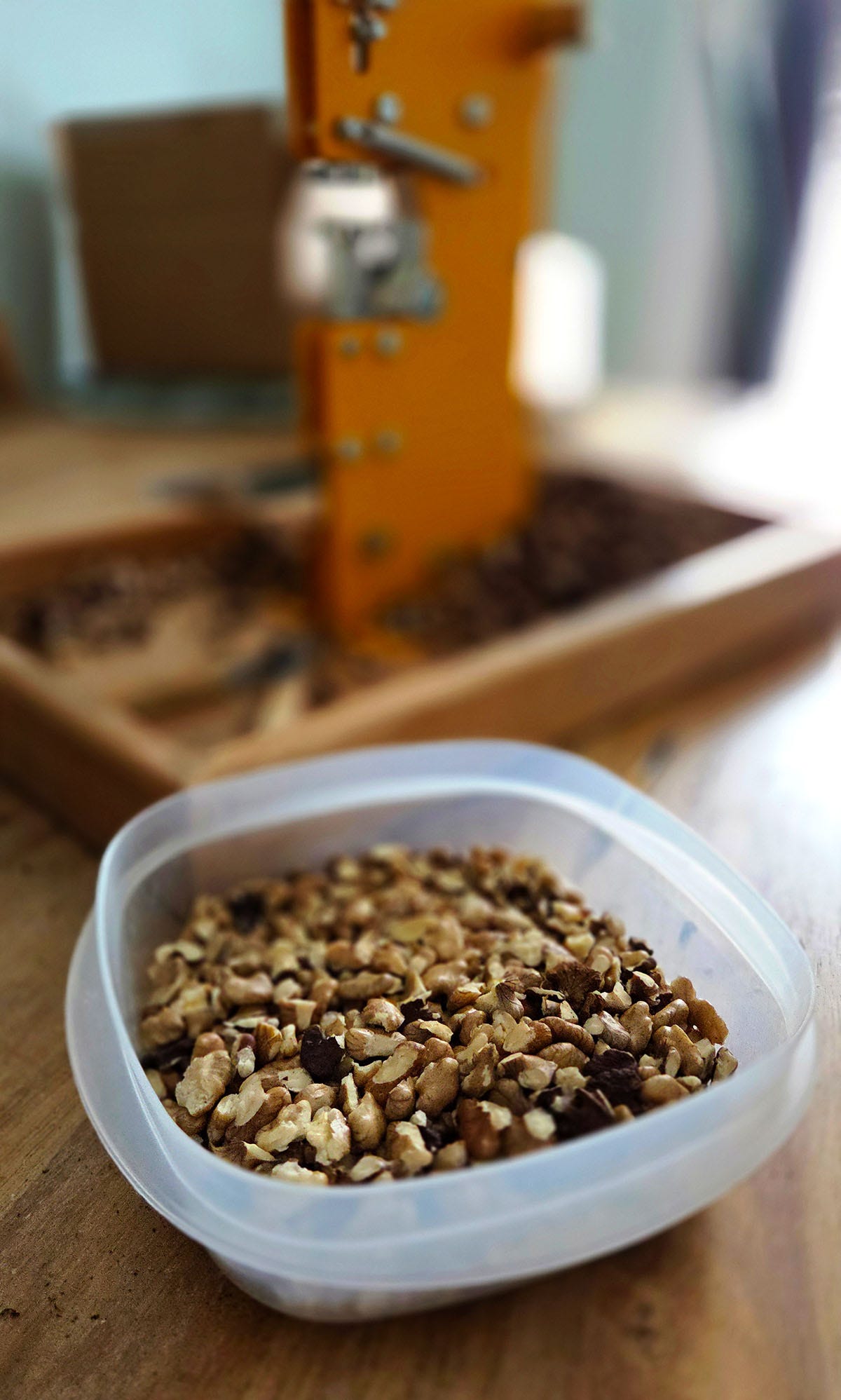 A container of cracked black walnuts on a table. 