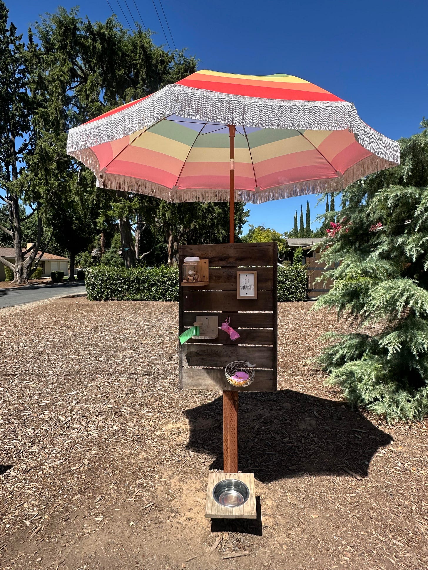 Rainbow umbrella shading a wooden dog walker supply station