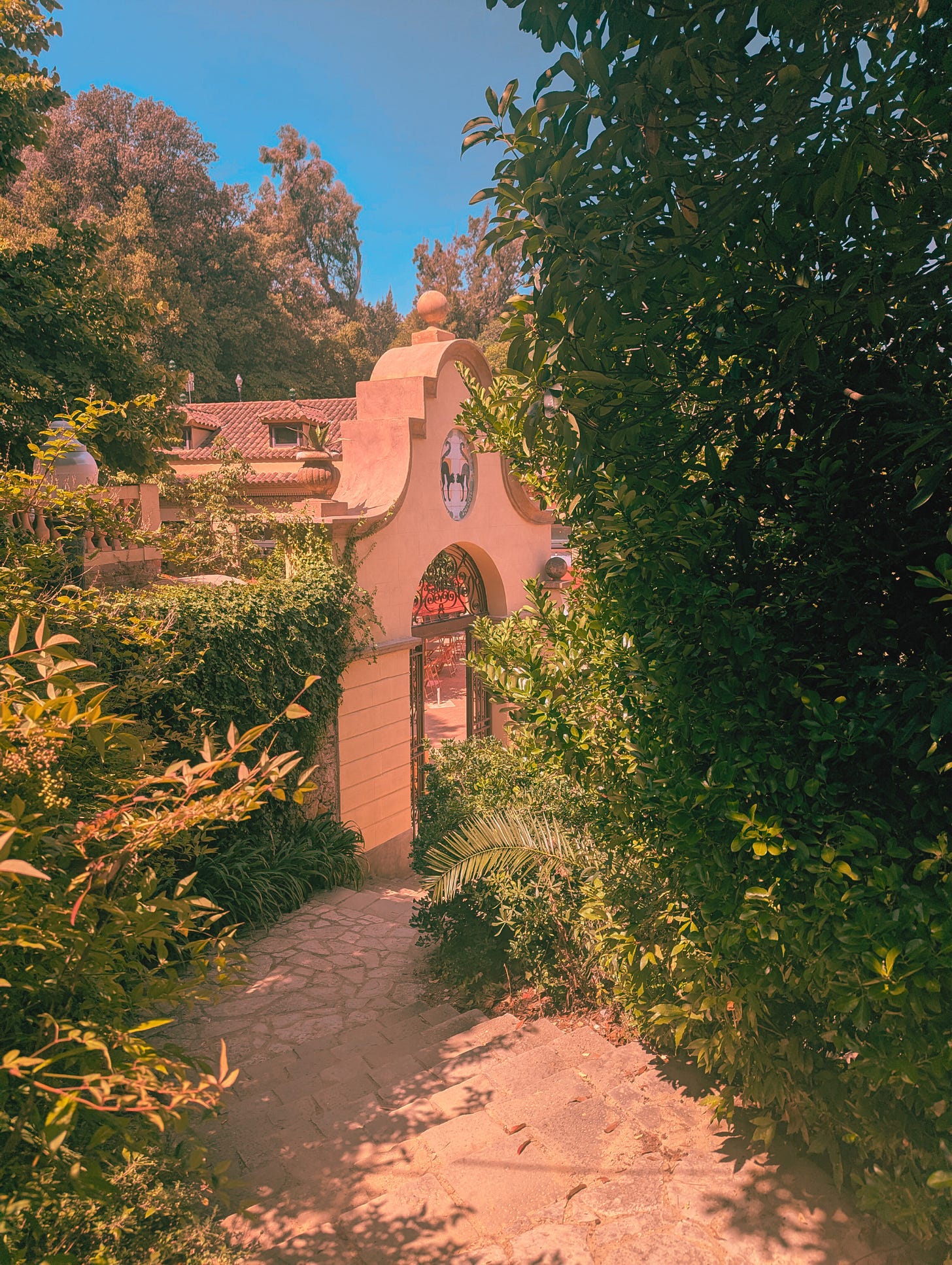 The bar at the Font Del Gat Barcelona - August 2025