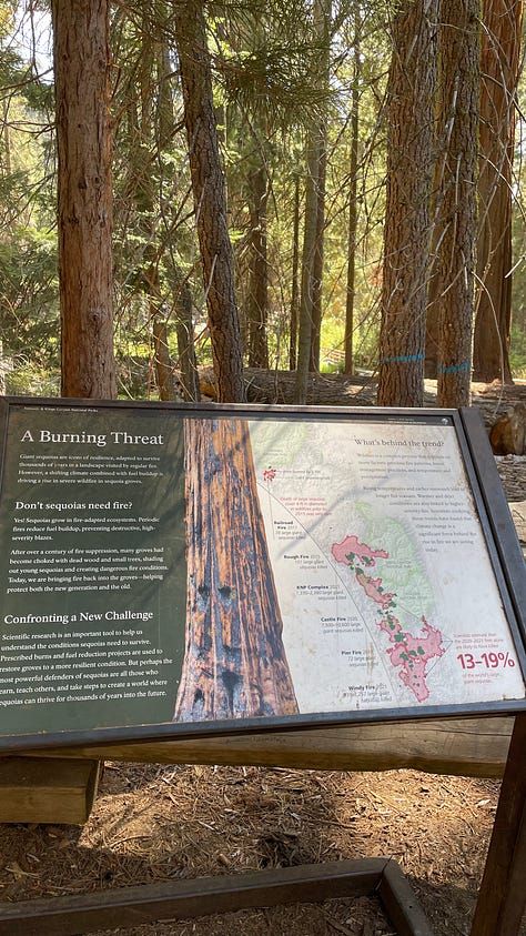 5 photos of Giant Sequoia Trees including General Sherman and an informational plaque 'A Burning Threat' depicting a map of each of the fires causing loss of the Sequoia trees.