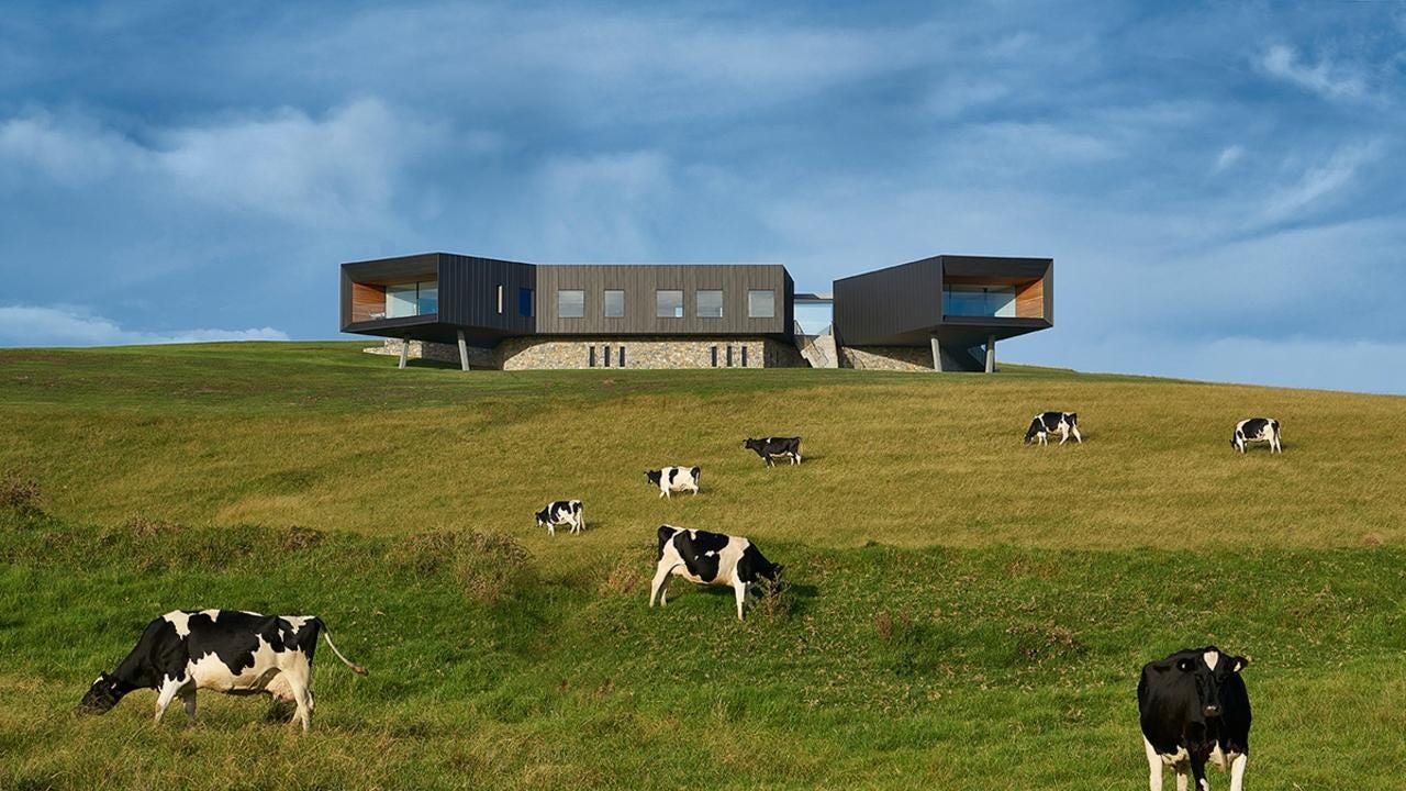 A sleek modernist house on a hill. Black and white cows dot the hillside in front of it.