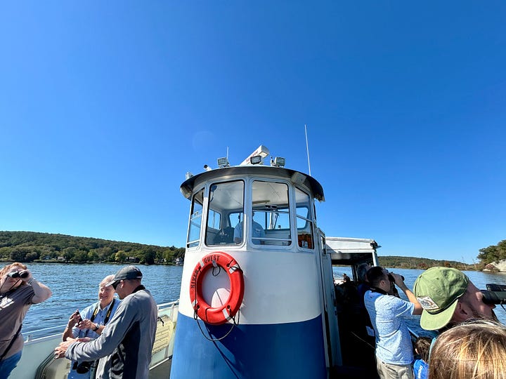 boat, cruise, passengers, crew, water, sky