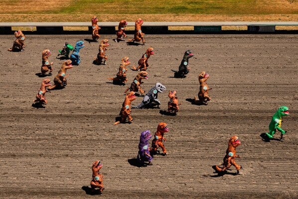 Racers take to the track during a preliminary heat during the "T-Rex World Championship Races" at Emerald Downs, Sunday, June 29, 2025, in Auburn, Wash. (AP Photo/Lindsey Wasson)