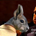 Google Analytics GA4: the offer you can't refuse