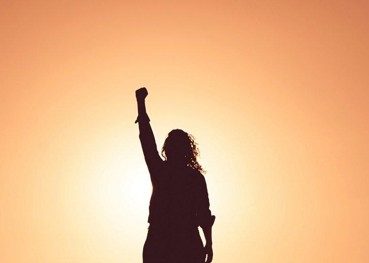 Person with long hair standing with fist raised in the air in front of a sunset