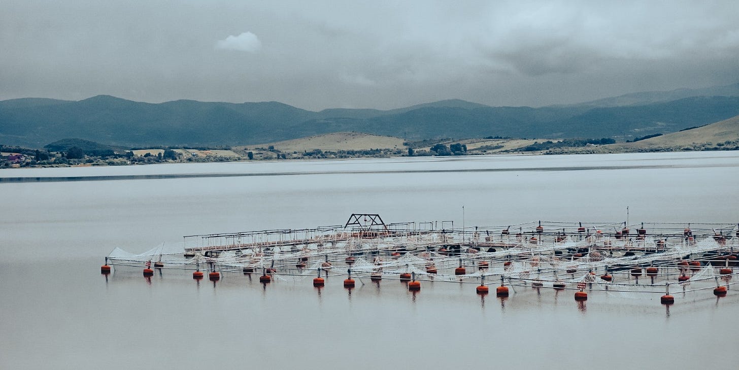 a fish pen in an estuary a fish pen in an estuary