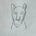 Baloo Bagheera's avatar
