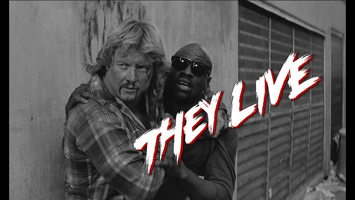 Just put the sunglasses on, you'll see, they live...