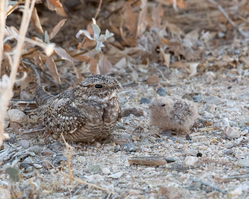 20200623_LN-39-Edit.jpg 20200623_LN-39-Edit.jpg