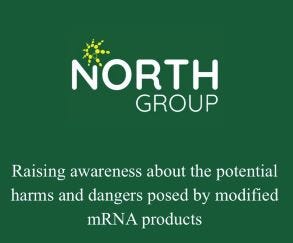 https://northgroup.info/