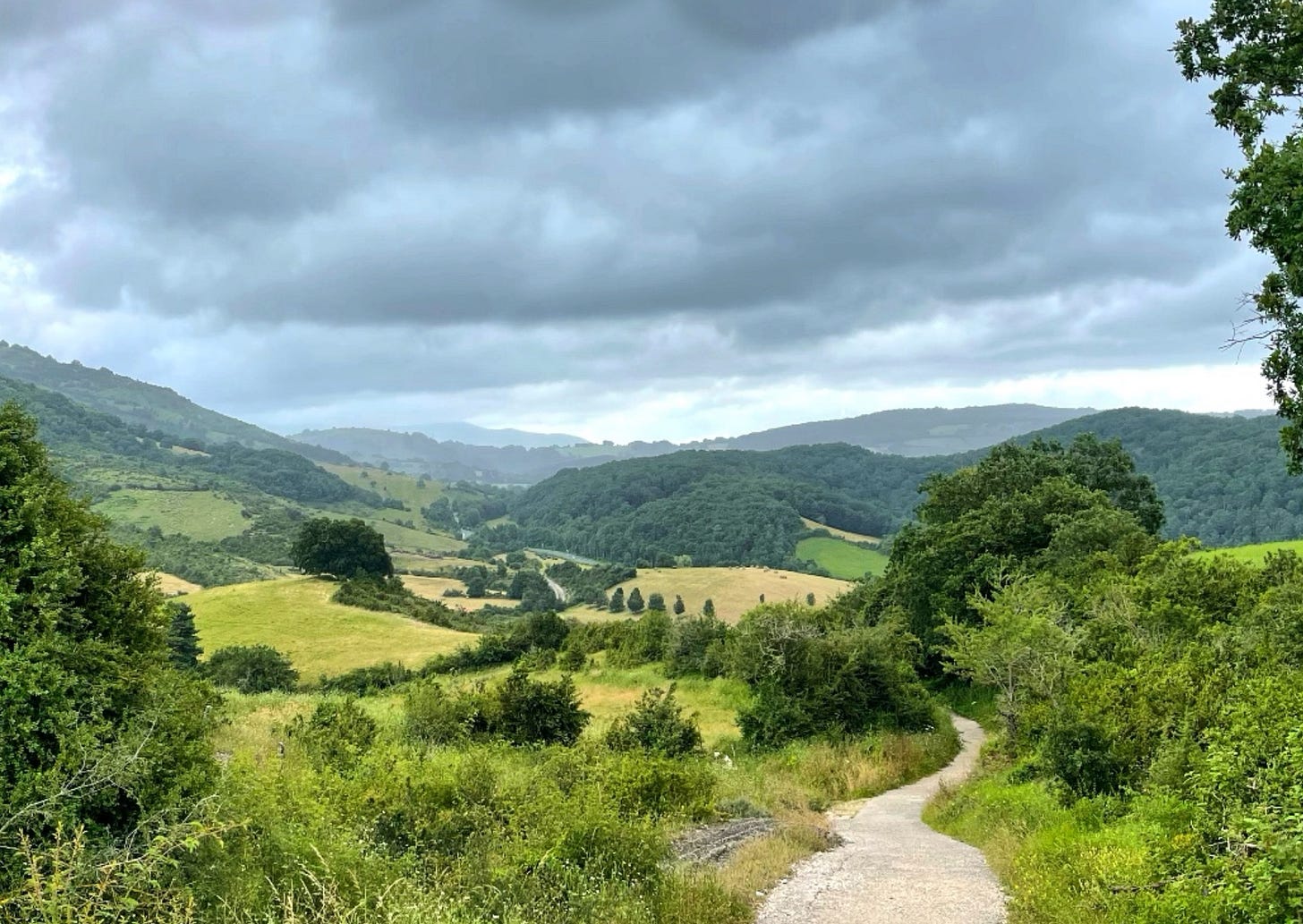 beautiful green landscape with a narrow path