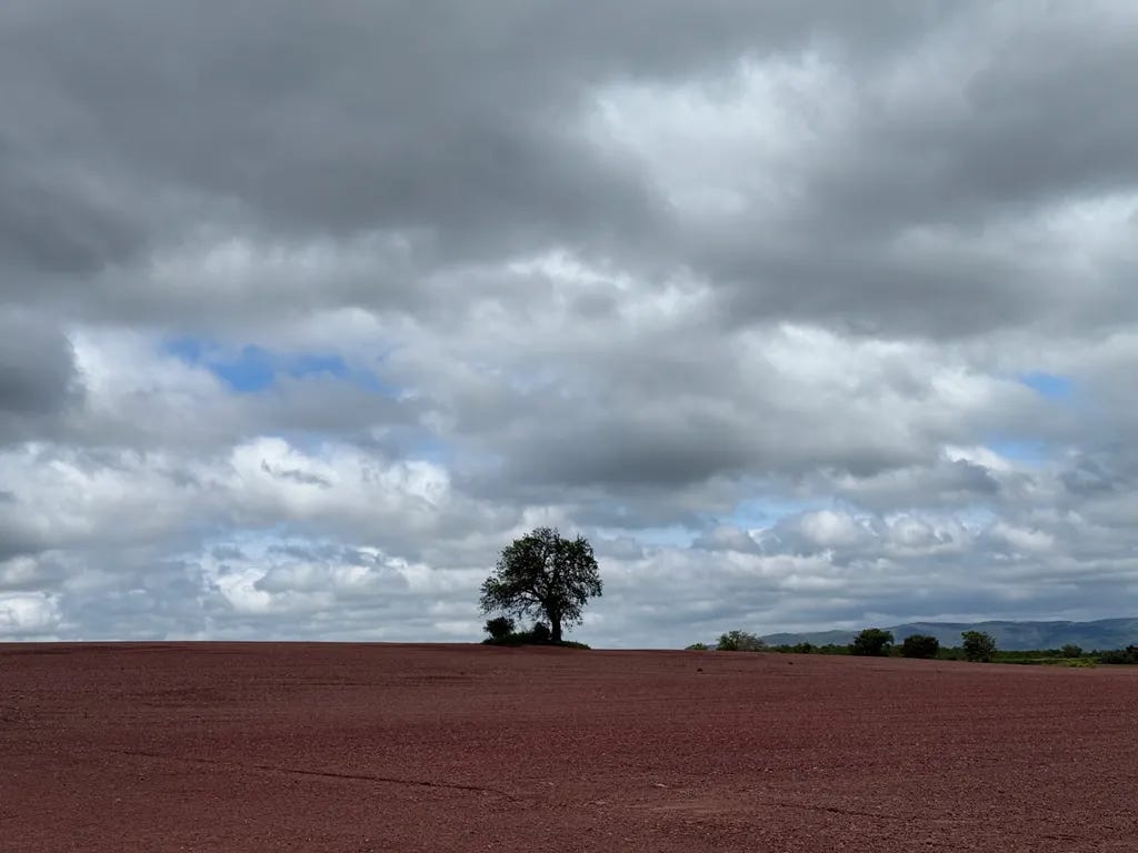 Rougier