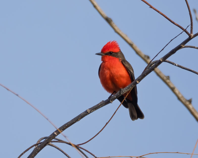 20260316-Sewailo-70-Edit.jpg 20260316-Sewailo-70-Edit.jpg