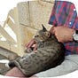 Paul Seligman's avatar