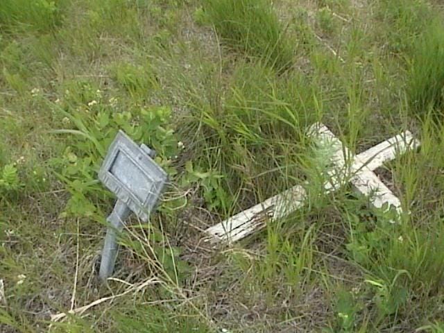 A picture containing grass, outdoor, field, brush
Description automatically generated A picture containing grass, outdoor, field, brush
Description automatically generated