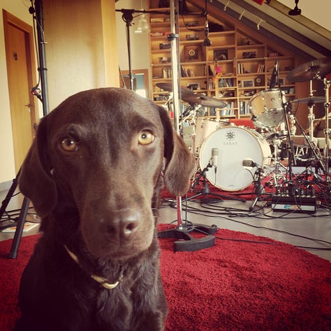 People and hounds at Supertone Studio, Spain