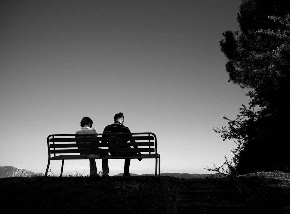 people sits on bench near trees
