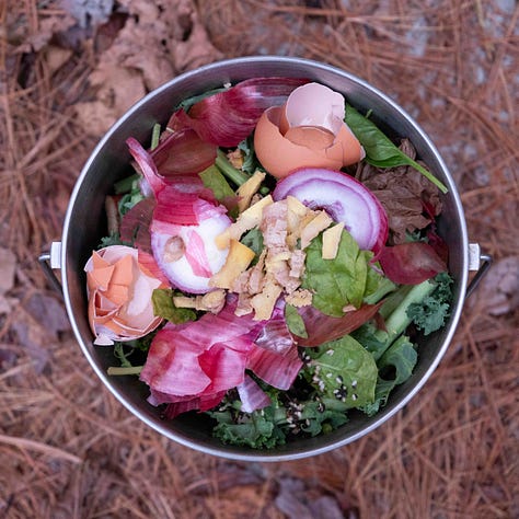 A grid of nine tin buckets of compost.