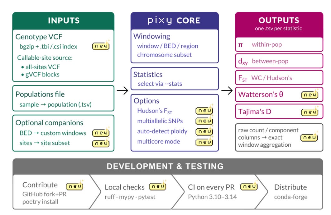 Diagram of the current state of pixy, with three sections flowing left to right (Inputs, pixy Core, Outputs) and a Development & Testing pipeline across the bottom.  Inputs (green): a Genotype VCF (bgzip with .tbi/.csi index, new) with callable-site sources from an all-sites VCF or gVCF blocks; a Populations file (sample → population .tsv); and optional BED and sites companions (new) for custom windows and site subsets.  pixy Core (navy): Windowing by window/BED/region or chromosome subset; Statistics selected via --stats; and Options for Hudson's F_ST, multiallelic SNPs, auto-detect ploidy, and multicore mode (all new).  Outputs (magenta), one .tsv per statistic: π, d_xy, F_ST (WC/Hudson's), Watterson's θ (new), and Tajima's D (new), plus raw count and component columns for exact window aggregation (new).  Development & Testing: Contribute (GitHub fork+PR, poetry install, new) → Local checks (ruff, mypy, pytest, new) → CI on every PR (Python 3.10–3.14, new) → Distribute (conda-forge). Yellow "new" badges mark features added in the current release.