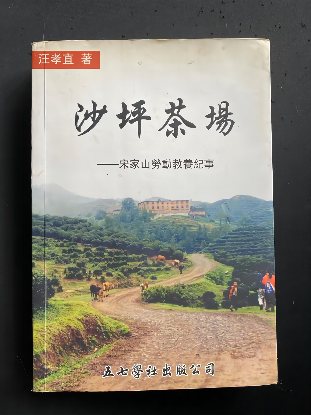 艾曉明| 通往苗溪之路——读牛立华回忆录《梦断苗溪》, image size:1280x1706