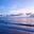Sunny Naples FL's avatar